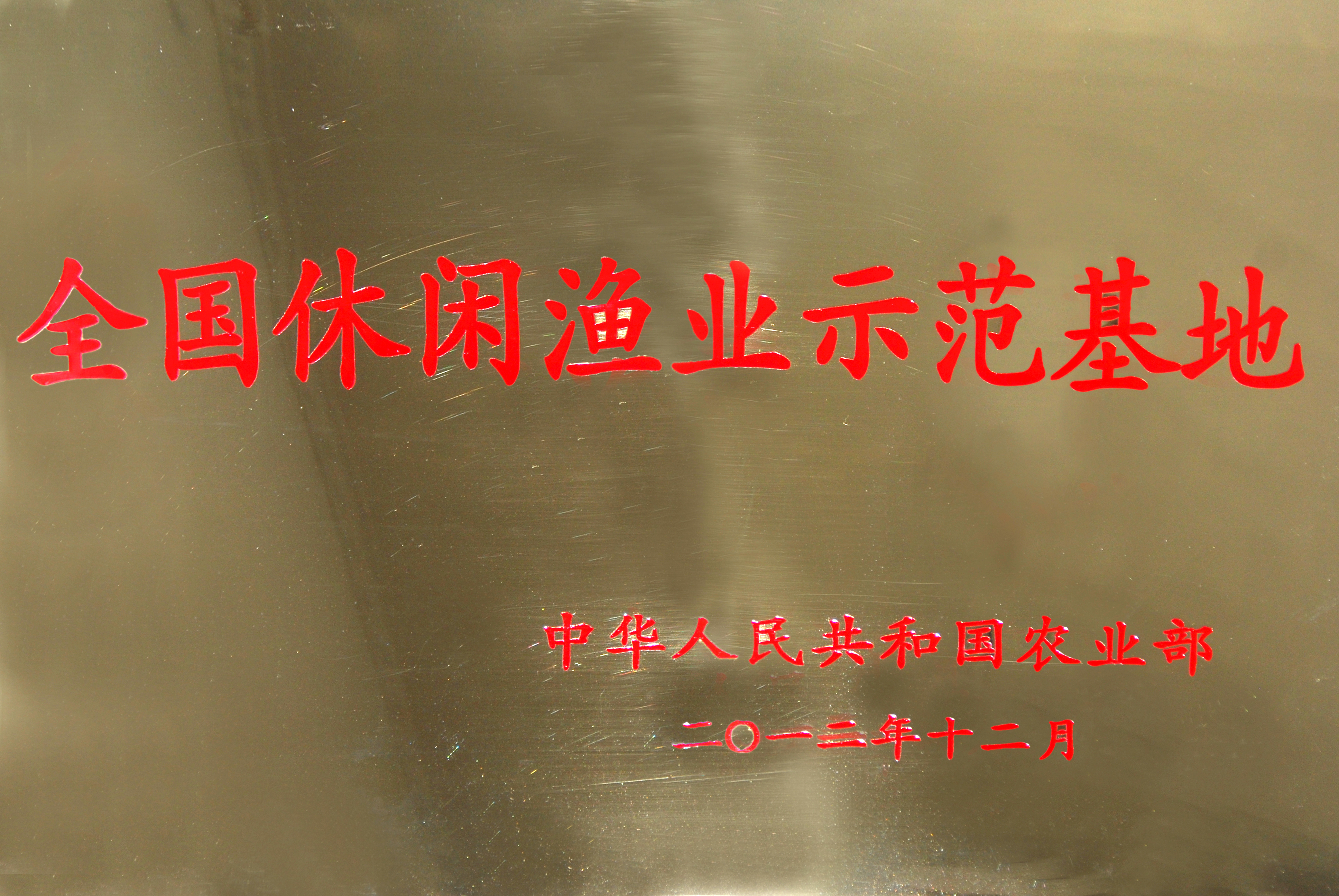 榮譽(yù)證書(shū)（國(guó)家級(jí)）